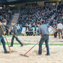 mittelländisches schwingfest bern 3. mai 2014