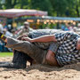 baselstädtischer schwingertag 29. Mai 2014