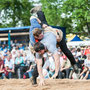 baselstädtischer schwingertag, basel 14. Mai 2015