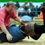 Emmentalisches Schwingfest Trub 2013