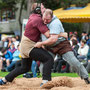 Baselstädtischer Schwingertag 2013