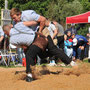 Baselstädtischer Schwingertag Riehen 17. 5. 2012