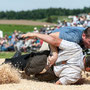 mittelländisches schwingfest richigen 31. mai 2015