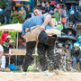 oberländisches schwingfest, sigriswil 29. Juni 2014