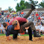 Nordwestschweizerisches Schwingfest Allschwul 2013