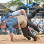 baselstädtischer schwingertag 29. Mai 2014