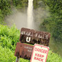 Akaka Falls - nun ja, ein weiterer Wasserfall...