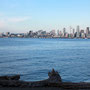 Schöne Skyline von Seattle, von West Seattle aus gesehen, wo unser B&B war. Per Water Taxi in 10 Minuten erreichbar.