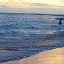 Sonnenuntergang am berühmten Waikiki Beach