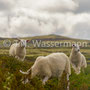 Rondane Nationalpark
