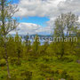 Near Fefor