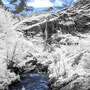 Briksdalsbreen