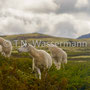 Rondane Nationalpark