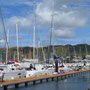 Le port du Marin, envahi de catamarans de croisière pour la location