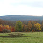 Der Soonwald lag direkt vor ihnen. Ein Meer von herbstlich braun, rot und gelb gefärbten Laubbäumen, durchzogen von dunkelgrünen Fichten, Kiefern und Tannen tat sich ihnen auf, in das sie nun hineintauchten. 