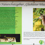 Ihre Fahrt ging weiter durch das Naturschutzgebiet ‚Glashütter Wiesen’, vorbei an der Abzweigung zum Walderlebniszentrum am Forstamt Soonwald 