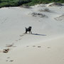 Playa de Bolonia