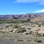 Draa
