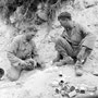 Neutralisation de chars allemand - Tunisie 1943