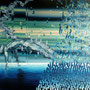 「transform」　130.0×162.0cm　パネルに綿布・石膏地・油彩