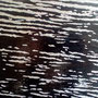 「wave」　15.8×22.7cm　パネルに綿布・石膏地・油彩