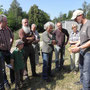 Wildbienen am Rheindamm