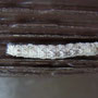 シロオビフユシャク幼虫