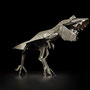 T-REX 新たな道を行く