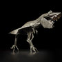 T-REX 新たな道を行く