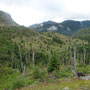 Mount Saint Helens wilderness