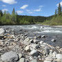 Denali NP