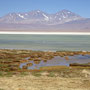 Salar de Maricunga