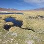 Machuca environs