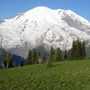 Mount Rainier