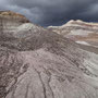 Petrified Forest national park
