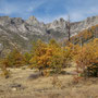 Sierra Nevada