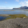 Isfjorden
