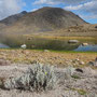 Laguna del Sol