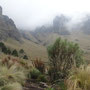 Etage subalpin de l'Iztaccihuatl 