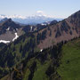 Mount Adams