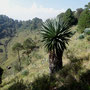 Volcan Xitle