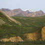 Denali National Park