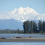 Mount Denali