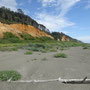 Kalaloch beach