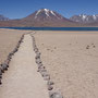 Cerro Miscanti
