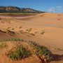 Pink coral sand dunes