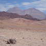 Environs du Chajnantor
