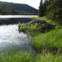 Hutte de castor