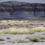 Petrified Forest national park