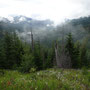 Mount Saint Helens wilderness